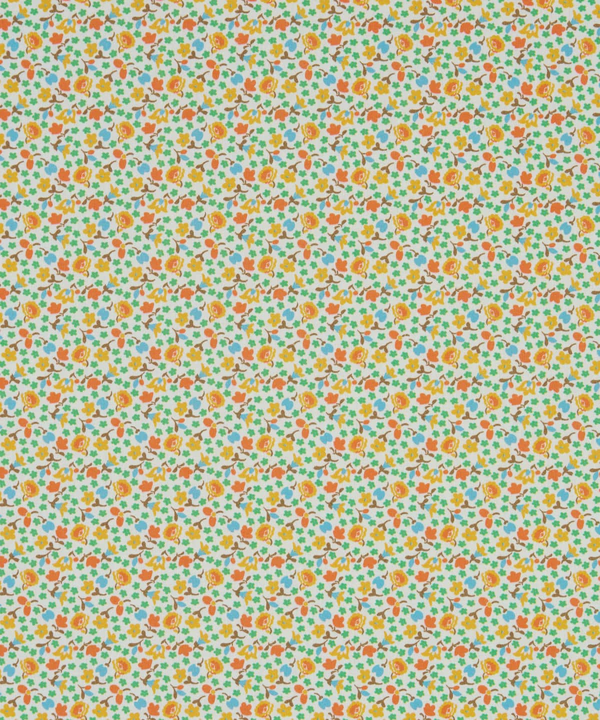 グレイズド・メドゥ タナローン