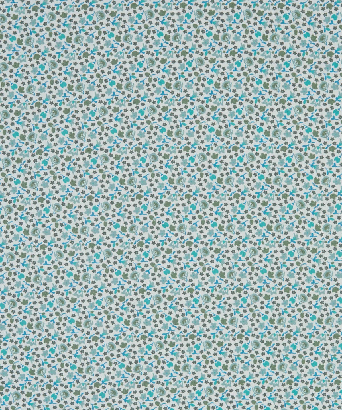 グレイズド・メドゥ タナローン