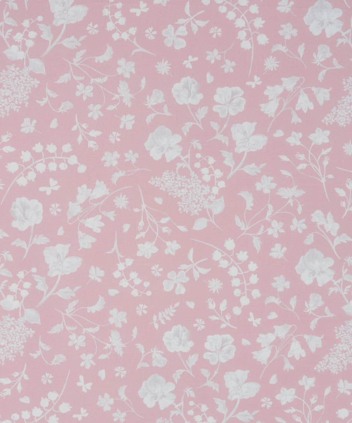 モーニングサイド・パーク タナローン