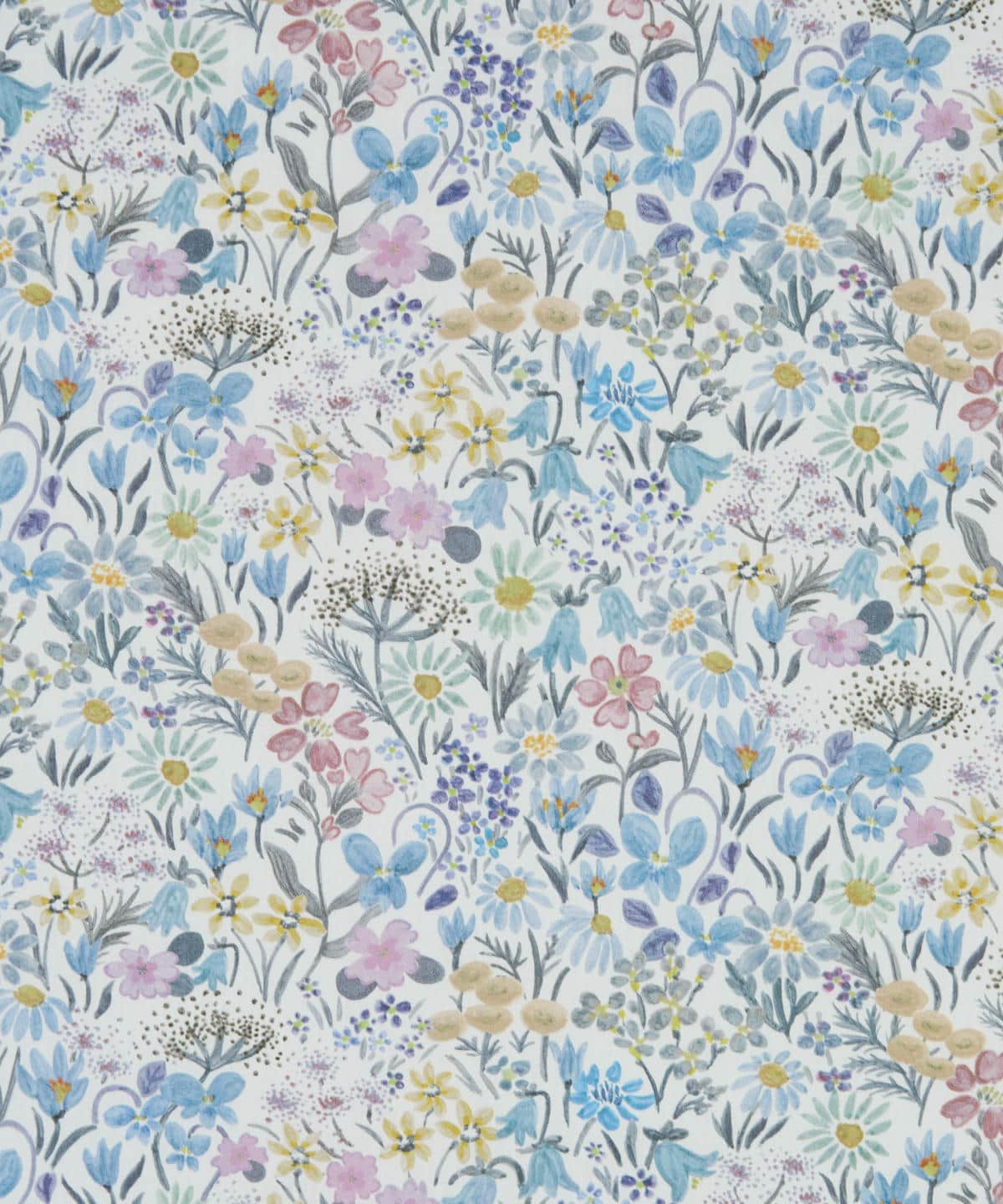 ハル・ブルーム タナローン