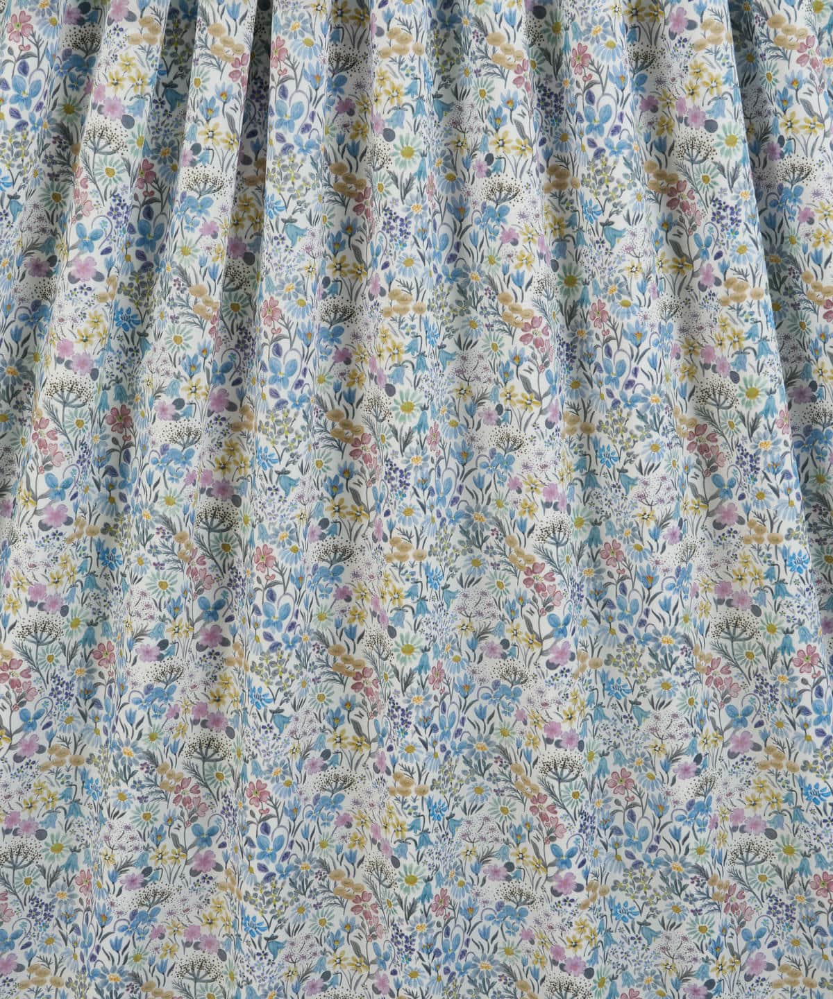 ハル・ブルーム タナローン