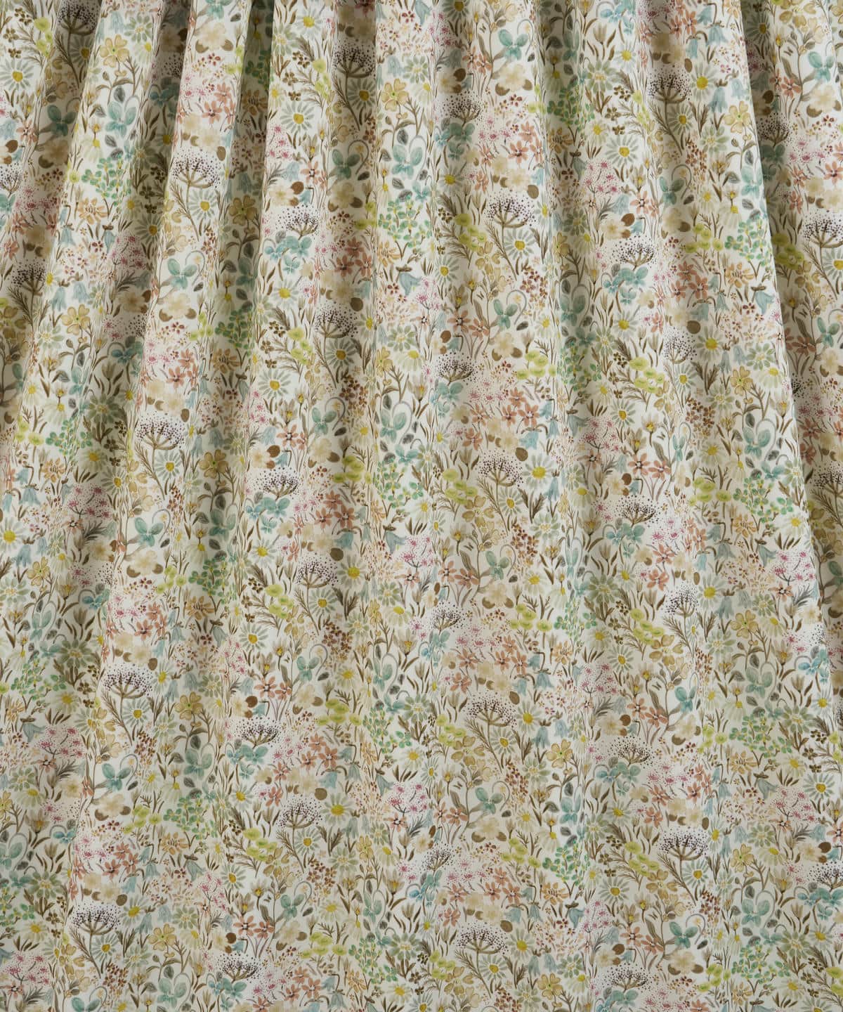 ハル・ブルーム タナローン