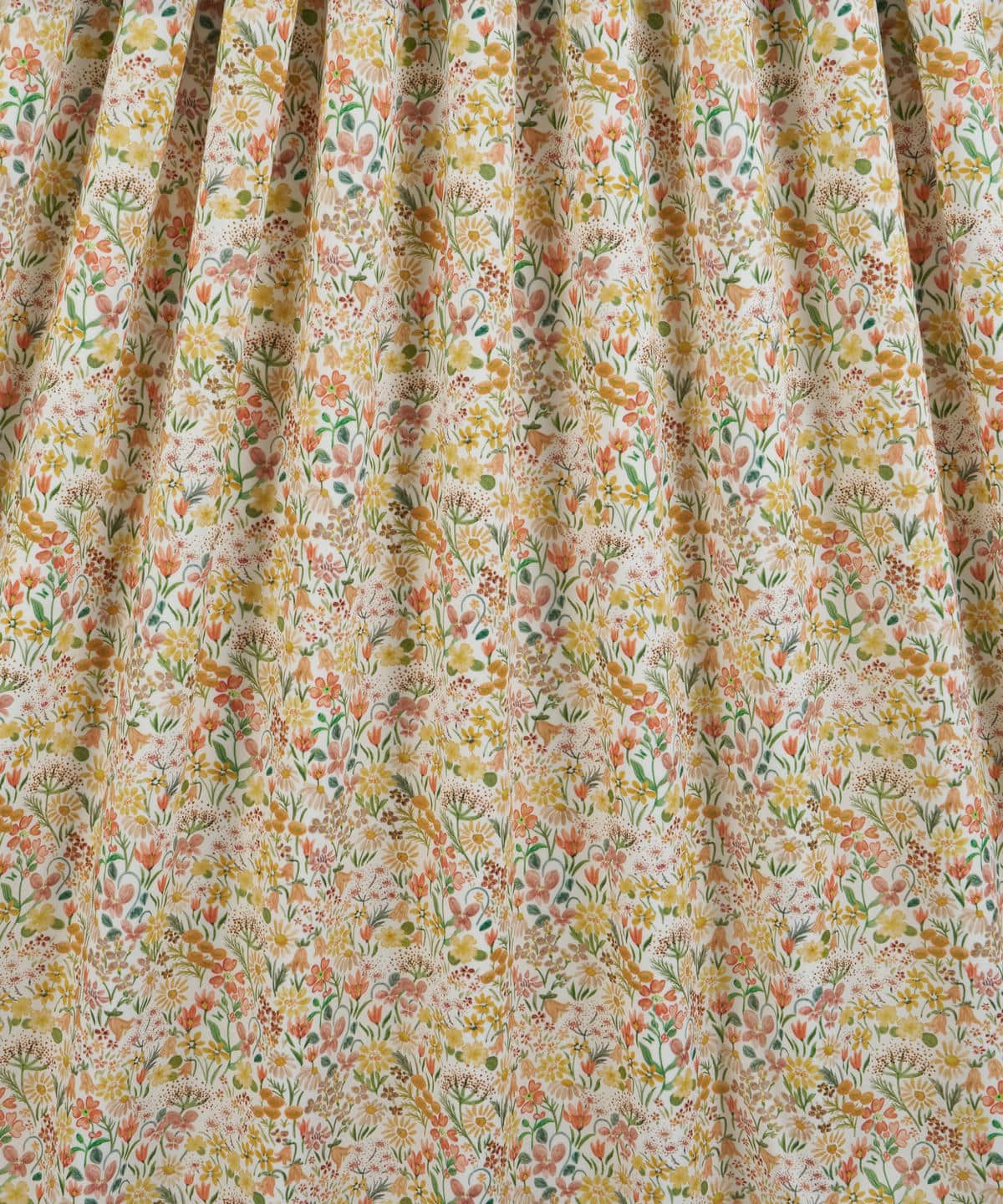 ハル・ブルーム タナローン