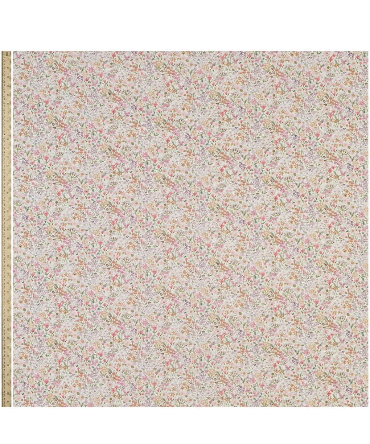 ハル・ブルーム タナローン