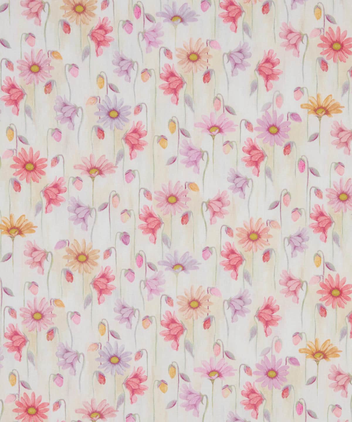 ペタル・ドロップス タナローン