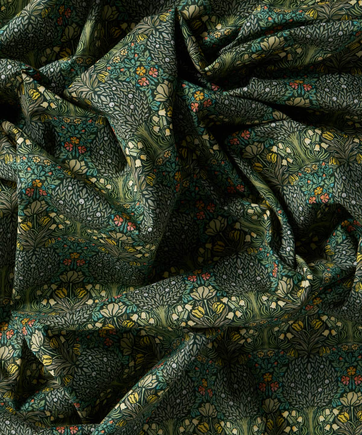 ハンリー・フォレスト タナローン