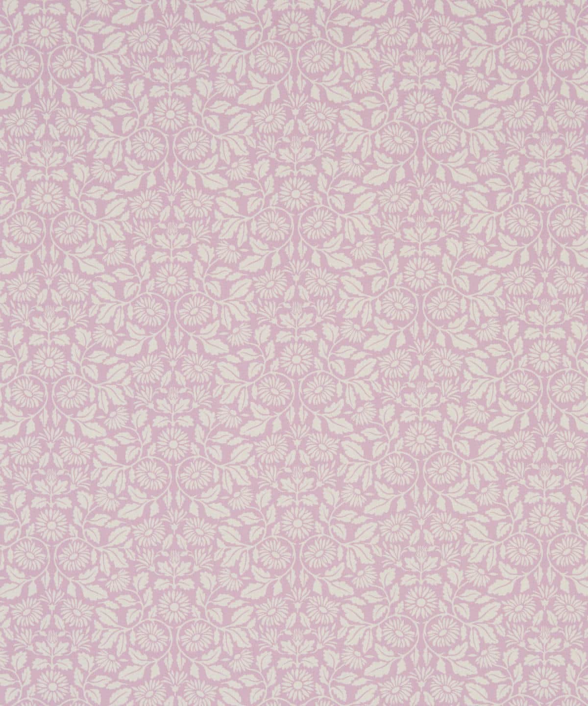 クレイ・デイジー タナローン