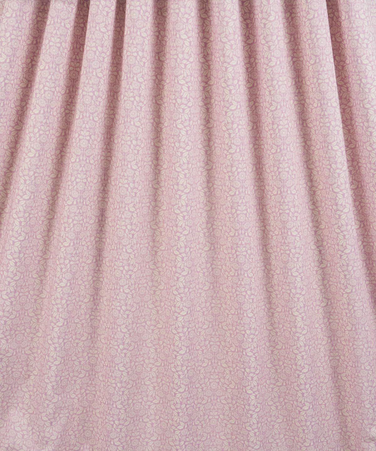 クレイ・デイジー タナローン