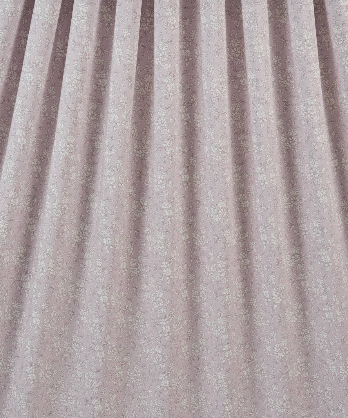 カペル タナローン