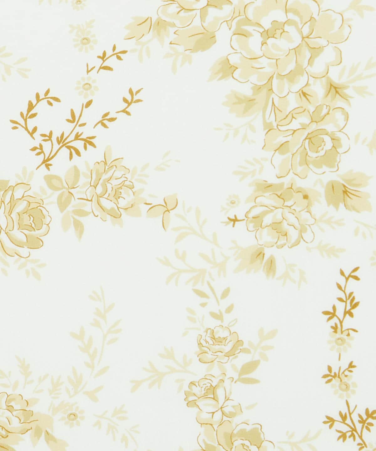 ソフィー・ローズ タナローン