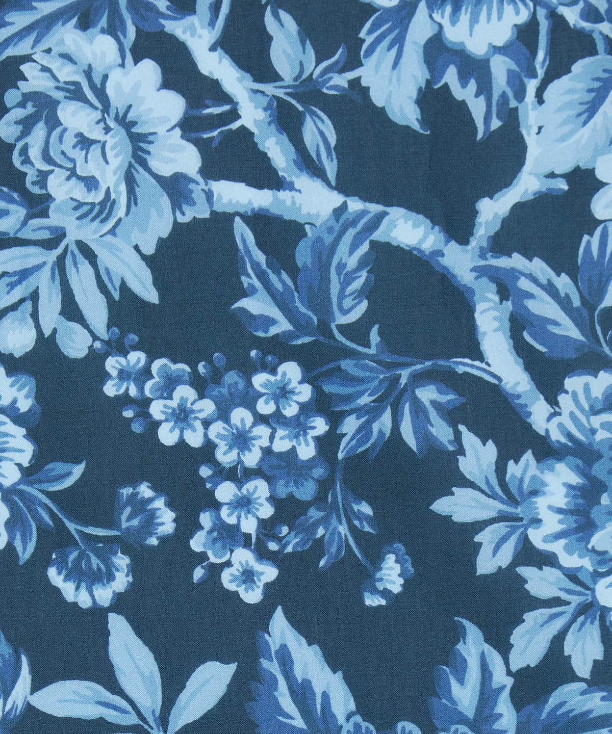 リージェンシー・トレイル タナローン