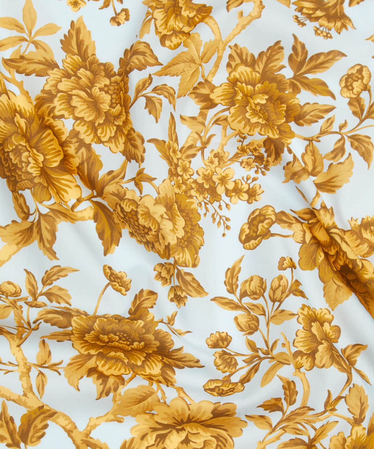 リージェンシー・トレイル タナローン