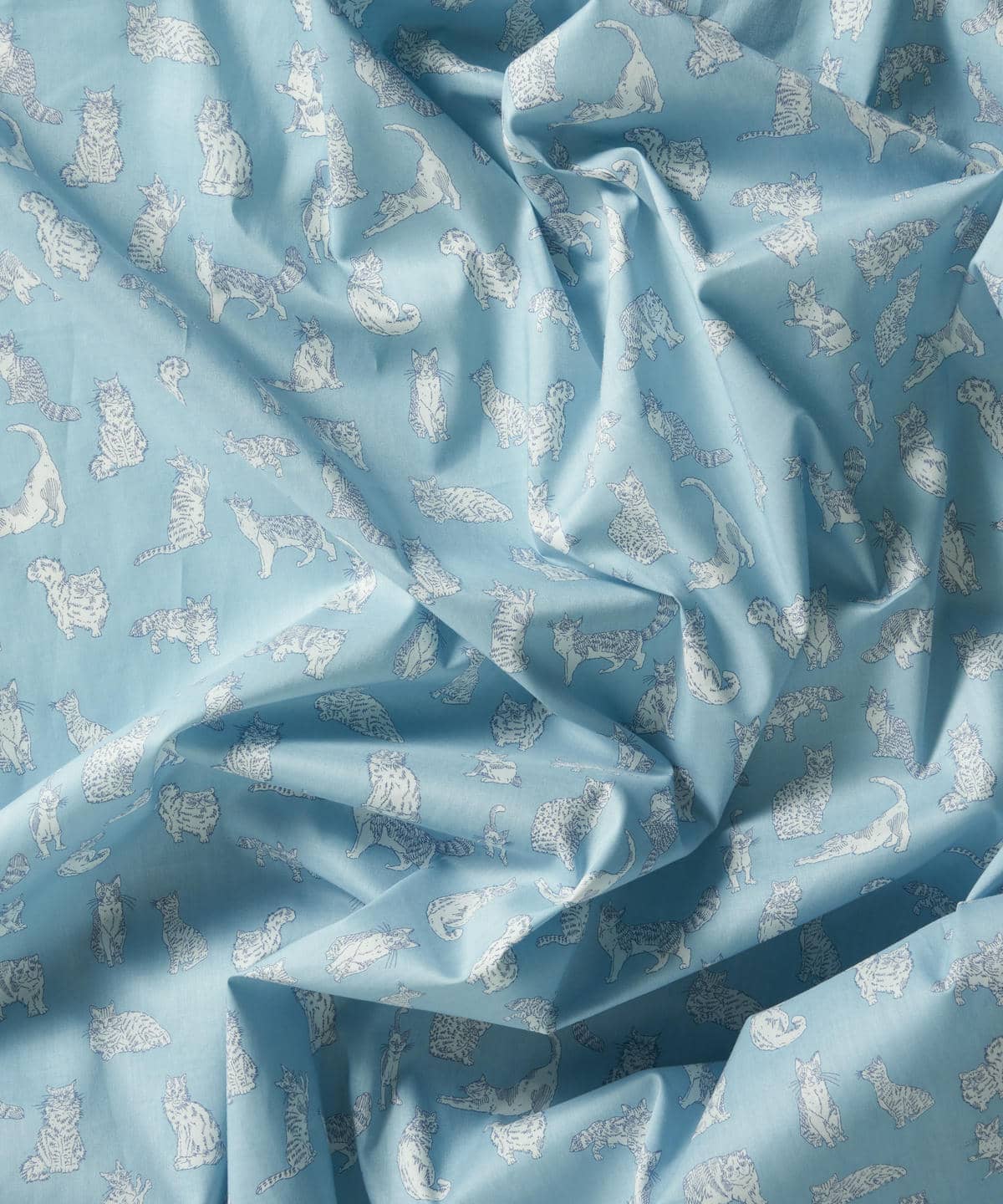 ミャオウ タナローン