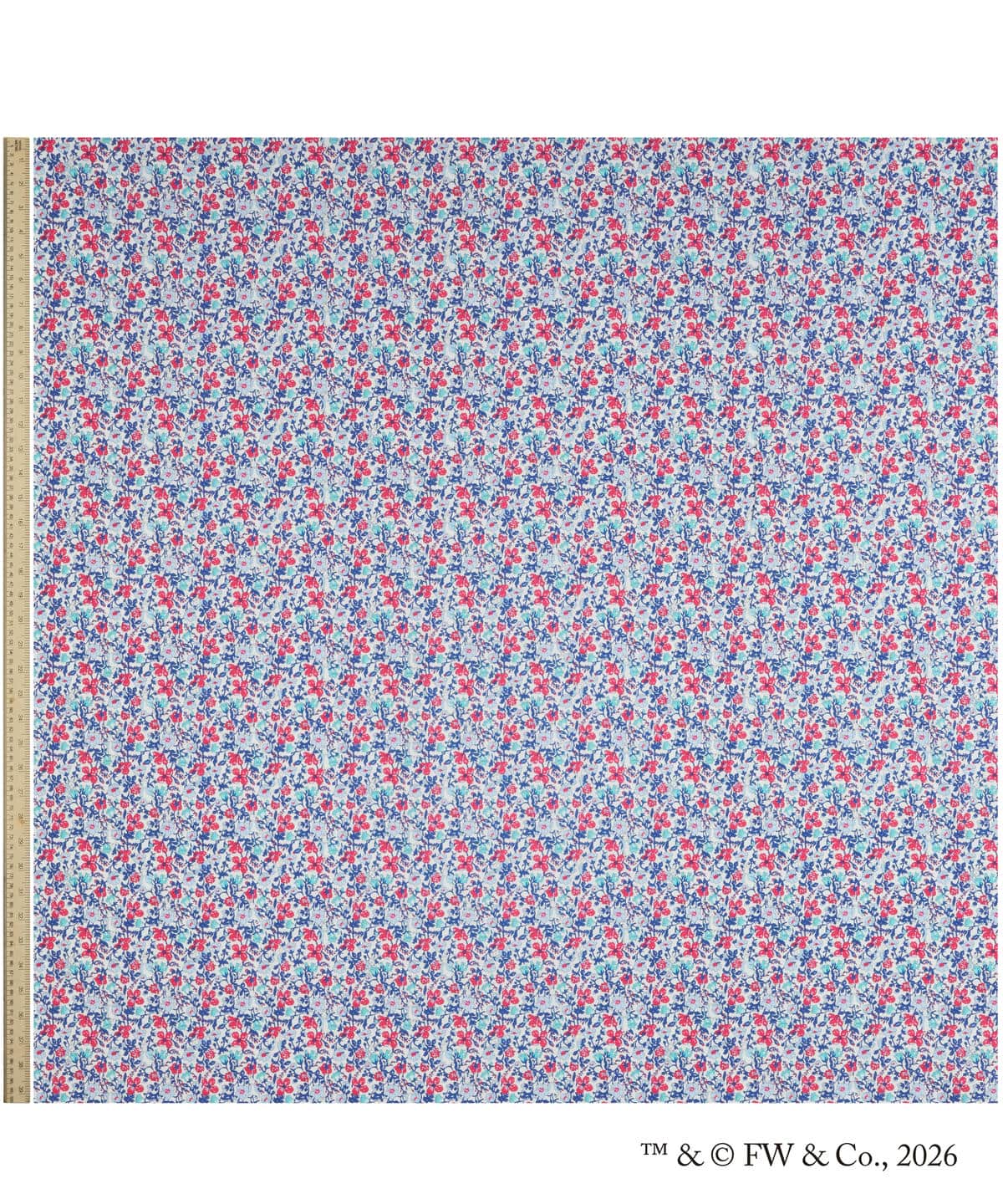 ピーター・メドゥ タナローン