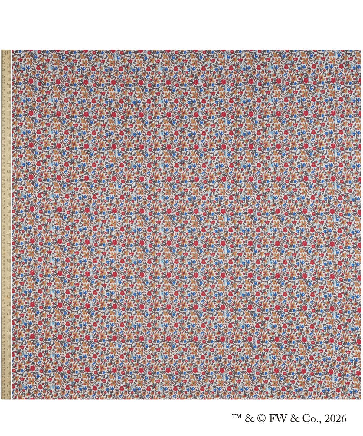 ピーター・メドゥ タナローン