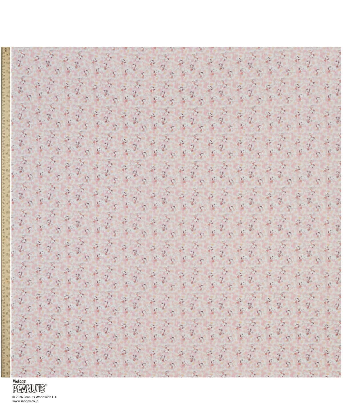 ジョー・クール タナローン