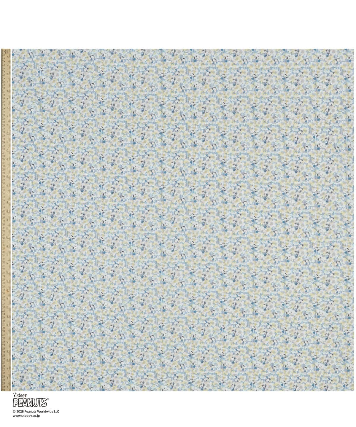 ジョー・クール タナローン