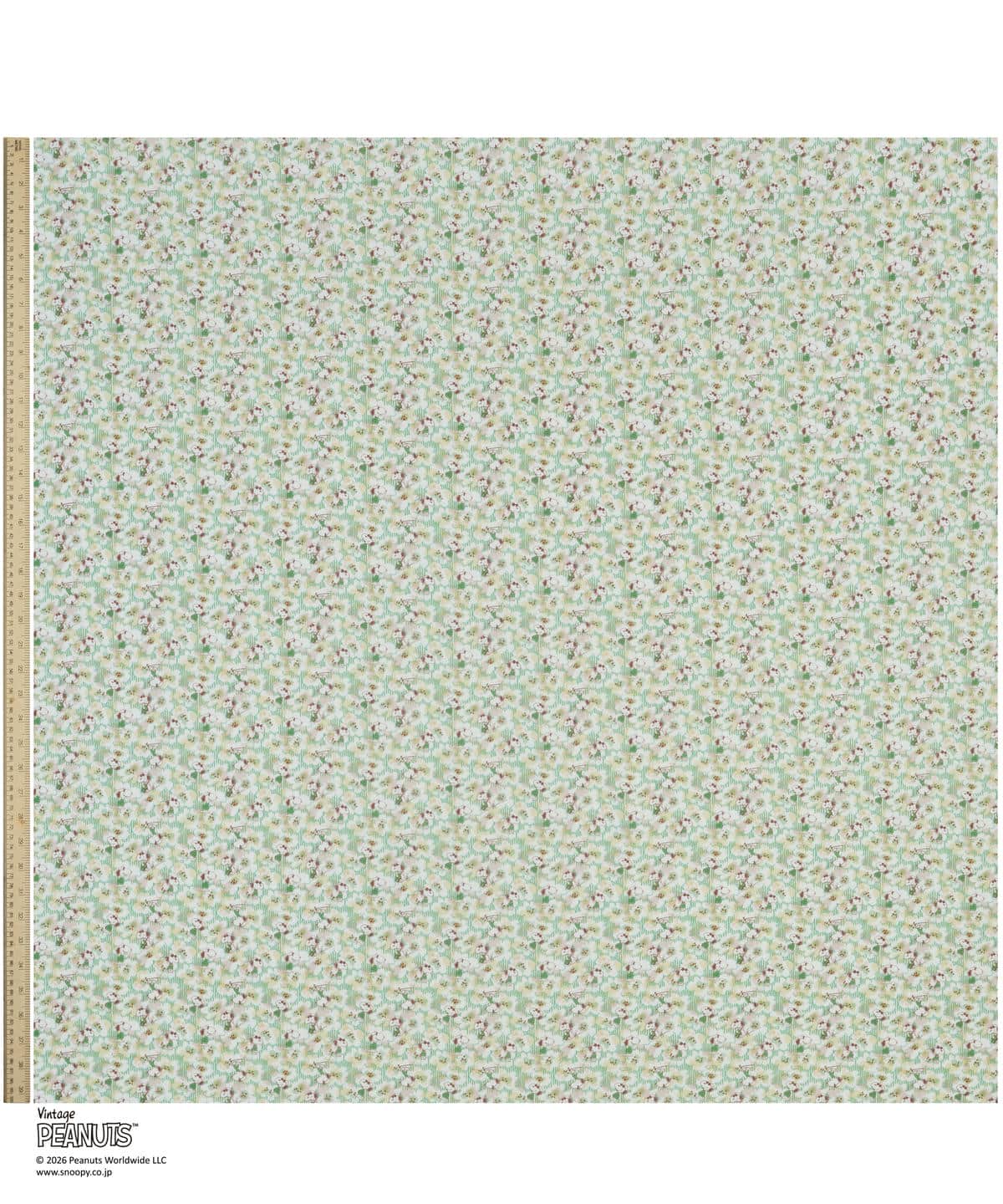 ジョー・クール タナローン