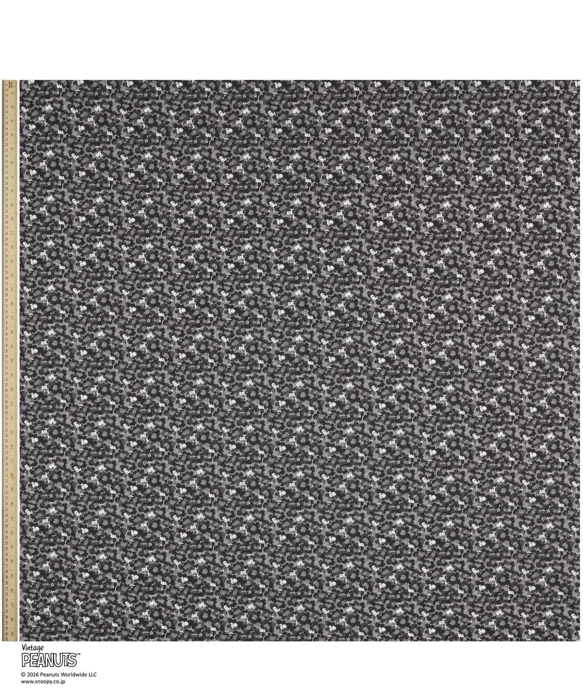 ジョー・クール タナローン