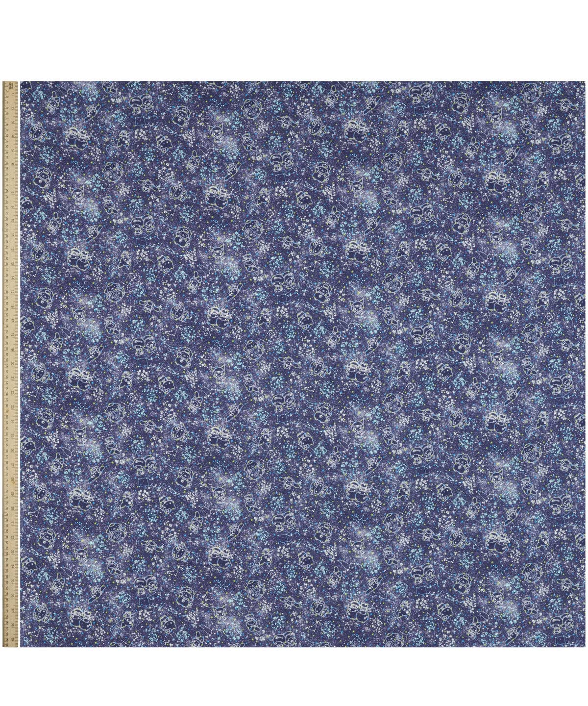 コンステレーション・スカイ タナローン